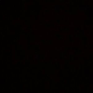 Meet your Posher, Gavin